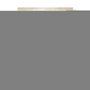 Springer Spaniel Negro Blanco Cerveza Amante - Fab Funky | Cuadro decorativo de Canvas Lab