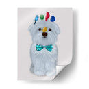 Maltés Y Pájaros - Fab Funky | Cuadro decorativo de Canvas Lab