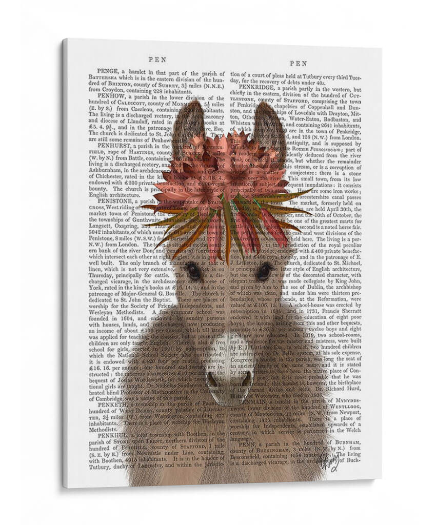Donkey Bohemian 1 Libro Imprimir - Fab Funky | Cuadro decorativo de Canvas Lab
