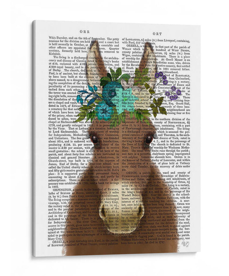 Donkey Bohemian 3 Libro Imprimir - Fab Funky | Cuadro decorativo de Canvas Lab