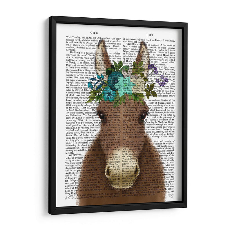 Donkey Bohemian 3 Libro Imprimir - Fab Funky | Cuadro decorativo de Canvas Lab