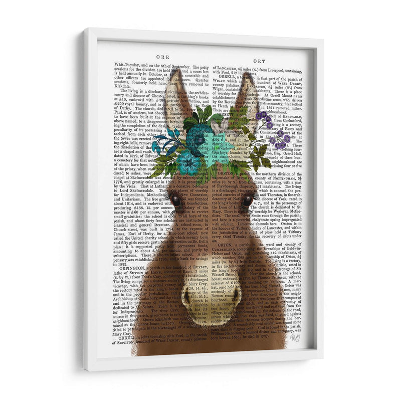 Donkey Bohemian 3 Libro Imprimir - Fab Funky | Cuadro decorativo de Canvas Lab