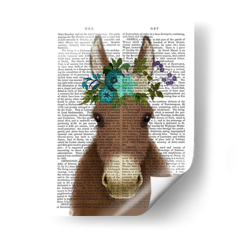 Donkey Bohemian 3 Libro Imprimir - Fab Funky | Cuadro decorativo de Canvas Lab