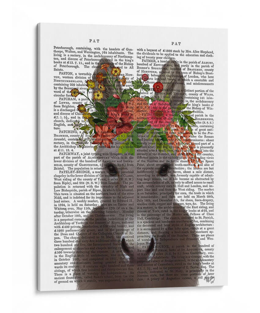 Donkey Bohemian 4 Libro Imprimir - Fab Funky | Cuadro decorativo de Canvas Lab