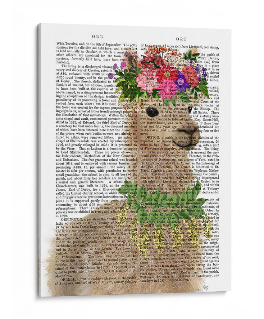 Llama Bohemian 2 Libro Imprimir - Fab Funky | Cuadro decorativo de Canvas Lab
