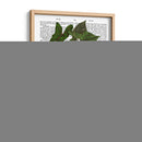 Jarrón Chinoiserie 4, Con Impresión De Libros De Plantas. - Fab Funky | Cuadro decorativo de Canvas Lab