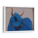 Vaca Highland 2, Azul, Retrato - Fab Funky | Cuadro decorativo de Canvas Lab