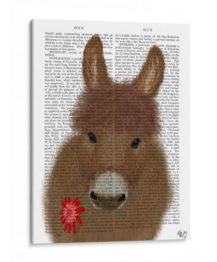 Libro De Flores Rojas De Burro Impresión - Fab Funky | Cuadro decorativo de Canvas Lab