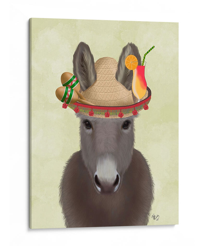 Burro Sombrero - Fab Funky | Cuadro decorativo de Canvas Lab