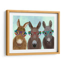 Gafas De Flores De Trío De Burro - Fab Funky | Cuadro decorativo de Canvas Lab