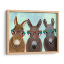 Gafas De Flores De Trío De Burro - Fab Funky | Cuadro decorativo de Canvas Lab