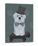 Maltés Con Sombrero De Copa - Fab Funky | Cuadro decorativo de Canvas Lab