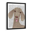 Funny Farm Goat 1 Libro Imprimir - Fab Funky | Cuadro decorativo de Canvas Lab