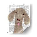 Funny Farm Goat 1 Libro Imprimir - Fab Funky | Cuadro decorativo de Canvas Lab