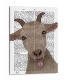 Funny Farm Goat 2 Libro De Impresión - Fab Funky | Cuadro decorativo de Canvas Lab