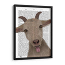 Funny Farm Goat 2 Libro De Impresión - Fab Funky | Cuadro decorativo de Canvas Lab