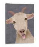 Funny Farm Goat 2 - Fab Funky | Cuadro decorativo de Canvas Lab