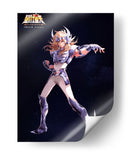 Hyōga de Cisne | Cuadro decorativo de Canvas Lab