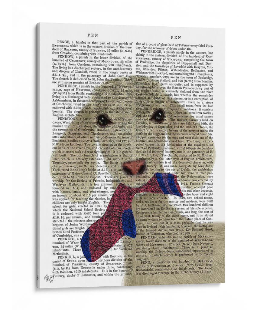 Libro De Almuerzo De Calcetines De Cabra Impresión - Fab Funky | Cuadro decorativo de Canvas Lab