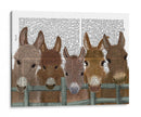 Manada De Burro En La Impresión Del Libro De La Cerca - Fab Funky | Cuadro decorativo de Canvas Lab