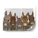 Manada De Burro En La Impresión Del Libro De La Cerca - Fab Funky | Cuadro decorativo de Canvas Lab