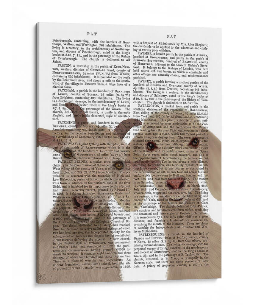 Dúo De Cabra, Mirando Tu Libro De Impresión - Fab Funky | Cuadro decorativo de Canvas Lab