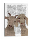 Dúo De Cabra, Mirando Tu Libro De Impresión - Fab Funky | Cuadro decorativo de Canvas Lab
