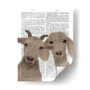 Dúo De Cabra, Mirando Tu Libro De Impresión - Fab Funky | Cuadro decorativo de Canvas Lab
