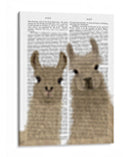 Llama Duo, Te Mira Libro Imprimir - Fab Funky | Cuadro decorativo de Canvas Lab
