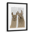 Llama Duo, Te Mira Libro Imprimir - Fab Funky | Cuadro decorativo de Canvas Lab