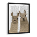 Llama Duo, Te Mira Libro Imprimir - Fab Funky | Cuadro decorativo de Canvas Lab