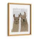Llama Duo, Te Mira Libro Imprimir - Fab Funky | Cuadro decorativo de Canvas Lab