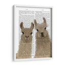 Llama Duo, Te Mira Libro Imprimir - Fab Funky | Cuadro decorativo de Canvas Lab