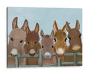Manada De Burro En La Cerca - Fab Funky | Cuadro decorativo de Canvas Lab