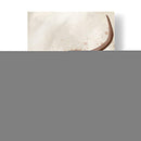 Vaca Highland 1, Retrato - Fab Funky | Cuadro decorativo de Canvas Lab