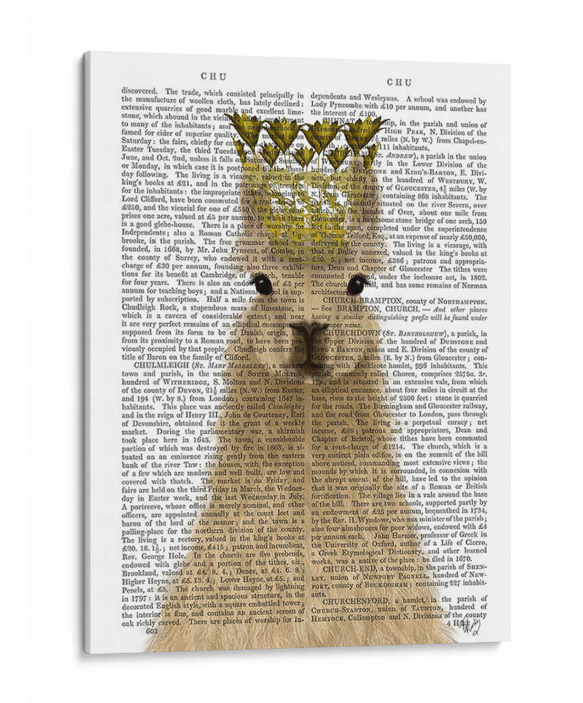 Llama Queen Book Print - Fab Funky | Cuadro decorativo de Canvas Lab