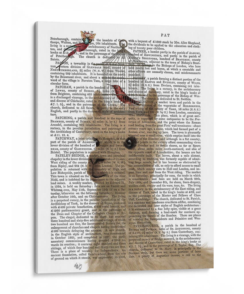 Llama Y Birdcage Librer Imprimir - Fab Funky | Cuadro decorativo de Canvas Lab