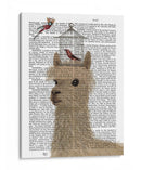 Llama Y Birdcage Librer Imprimir - Fab Funky | Cuadro decorativo de Canvas Lab