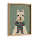 Llama Con Bufanda Púrpura, Retrato - Fab Funky | Cuadro decorativo de Canvas Lab
