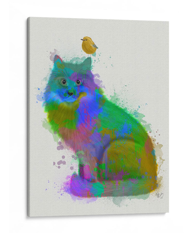 Cat Rainbow Splash 12 - Fab Funky | Cuadro decorativo de Canvas Lab