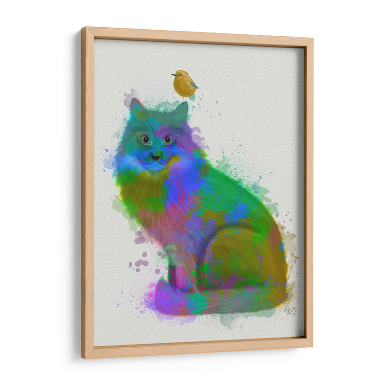 Cat Rainbow Splash 12 - Fab Funky | Cuadro decorativo de Canvas Lab