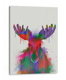 Splash Del Arco Iris De Moose - Fab Funky | Cuadro decorativo de Canvas Lab