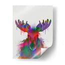Splash Del Arco Iris De Moose - Fab Funky | Cuadro decorativo de Canvas Lab