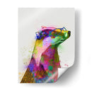 Badger Rainbow Splash 2 - Fab Funky | Cuadro decorativo de Canvas Lab