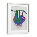 Splash Sloth Rainbow - Fab Funky | Cuadro decorativo de Canvas Lab
