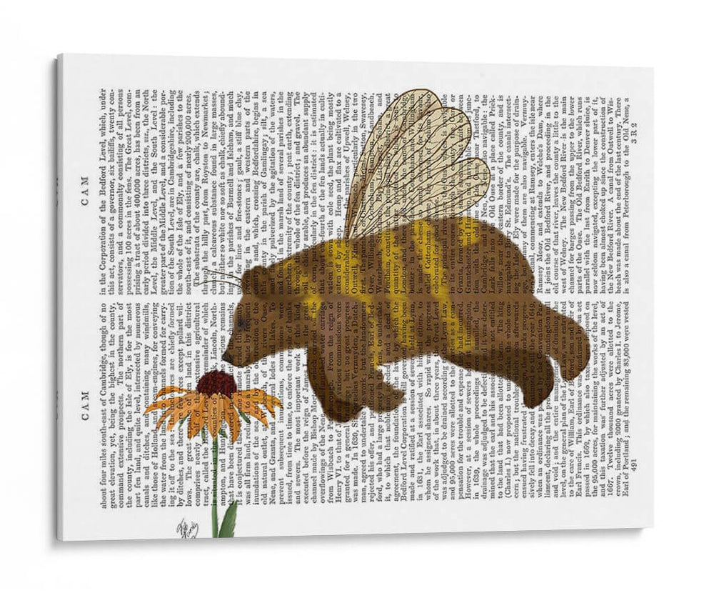 Book Book Book Print - Fab Funky | Cuadro decorativo de Canvas Lab