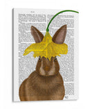 Impresión De Libro De Conejo De Narciso - Fab Funky | Cuadro decorativo de Canvas Lab