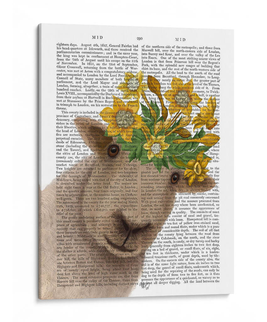 Ovejas Con Impresión Del Libro De La Corona De Narciso - Fab Funky | Cuadro decorativo de Canvas Lab