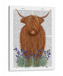 Vaca Highland, Libro Bluebell - Fab Funky | Cuadro decorativo de Canvas Lab
