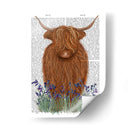 Vaca Highland, Libro Bluebell - Fab Funky | Cuadro decorativo de Canvas Lab